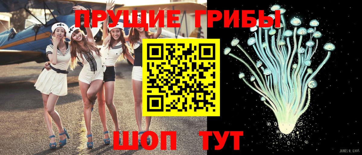 Псилоцибиновые грибы мицелий Кисловодск